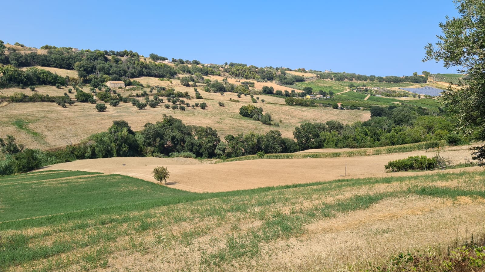 VILLETTA UNIFAMILIARE EVENTUALMENTE DIVISIBILE 25