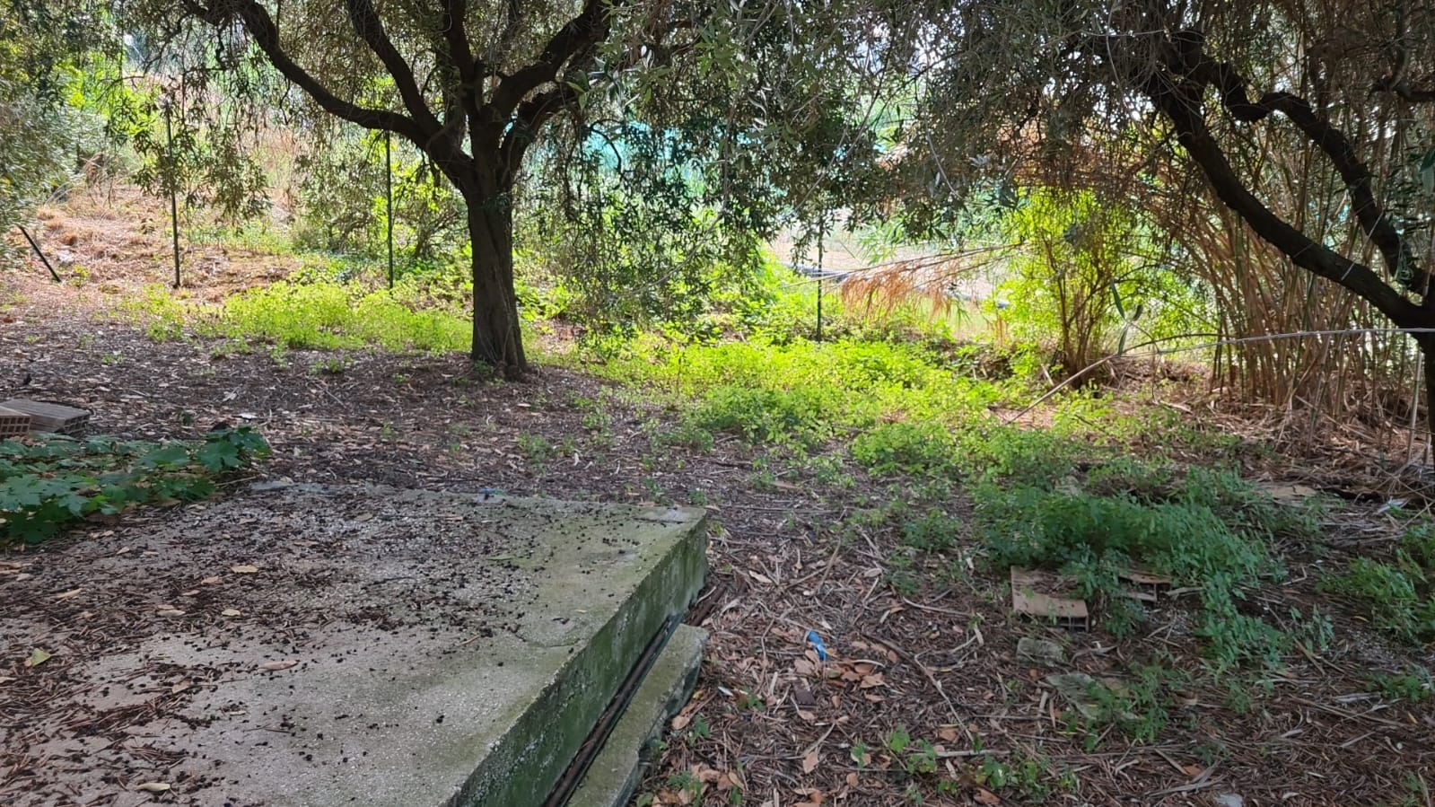 VILLETTA UNIFAMILIARE EVENTUALMENTE DIVISIBILE 27