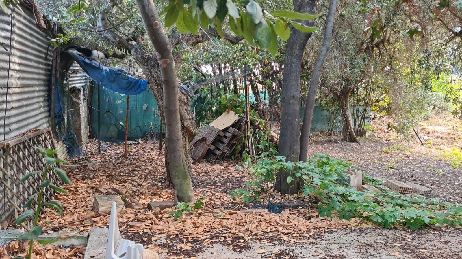 VILLETTA UNIFAMILIARE EVENTUALMENTE DIVISIBILE 8