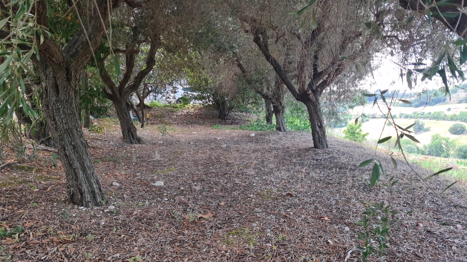 VILLETTA UNIFAMILIARE EVENTUALMENTE DIVISIBILE 9